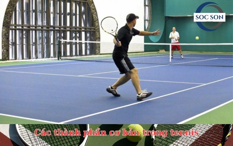 Các thành phần cơ bản trong tennis