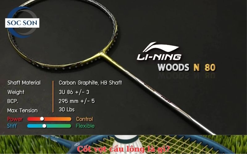 Cốt vợt cầu lông là gì