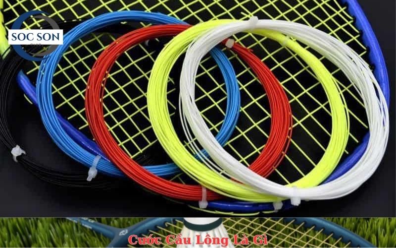 Cước Cầu Lông Là Gì