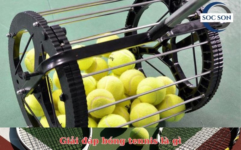 Giải đáp bóng tennis là gì