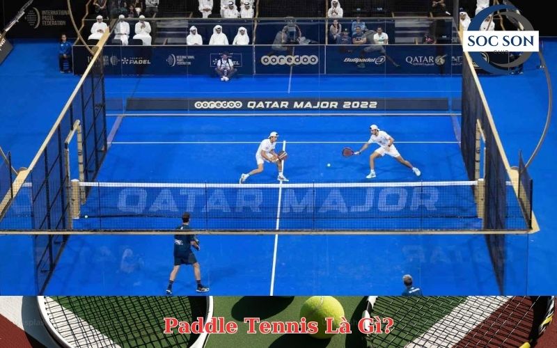 Paddle Tennis Là Gì