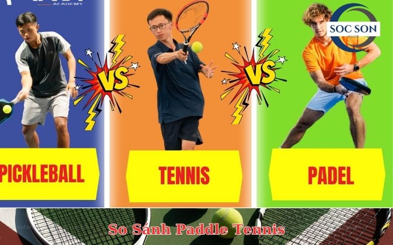 So Sánh Paddle Tennis Với Các Môn Thể Thao Khác