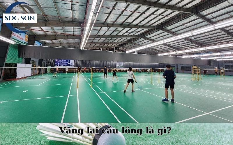 Vãng lai cầu lông là gì