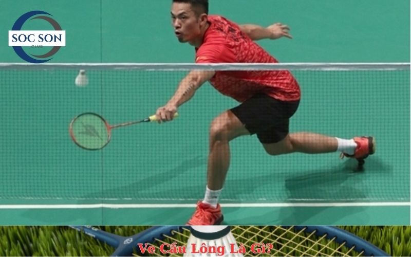 Ve Cầu Lông Là Gì