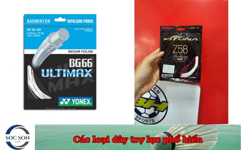 Các loại dây trợ lực phổ biến