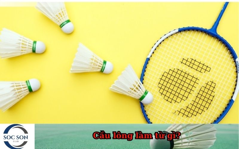 Cầu lông làm từ gì?