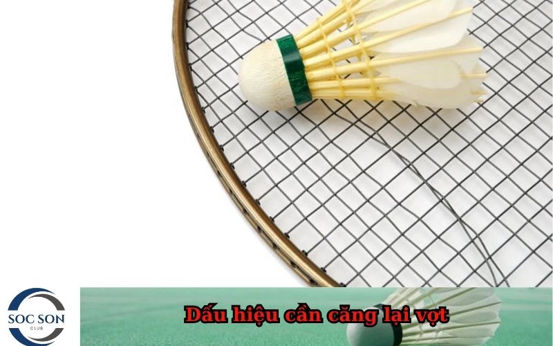 Dấu hiệu cần căng lại vợt