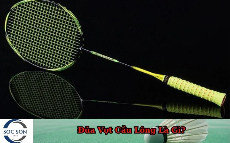 Đũa Vợt Cầu Lông Là Gì