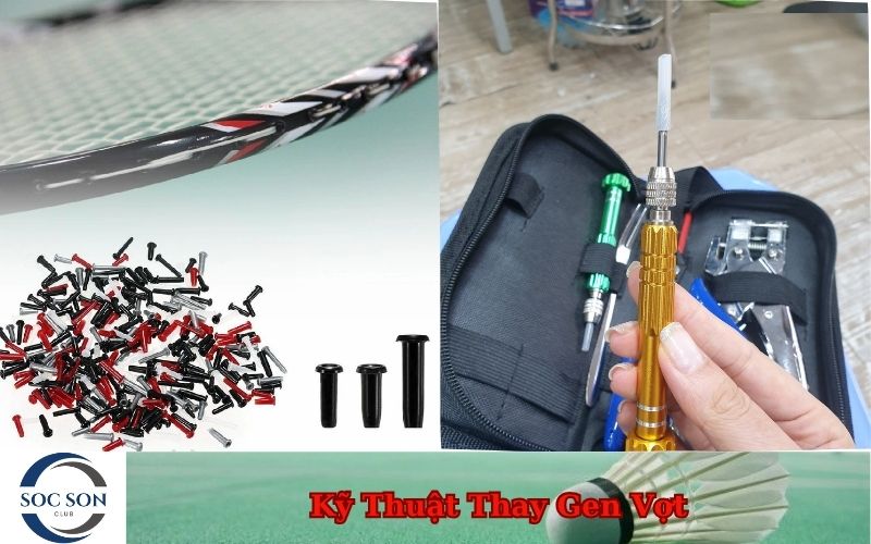 Kỹ Thuật Thay Gen Vợt