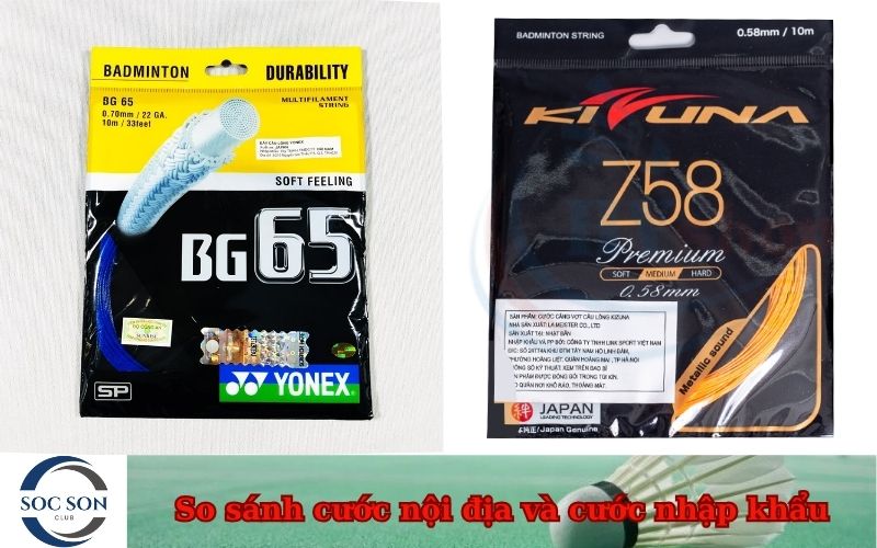 So sánh cước nội địa và cước nhập khẩu
