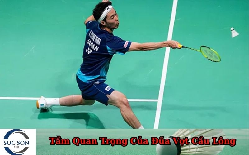 Tầm Quan Trọng Của Đũa Vợt Cầu Lông