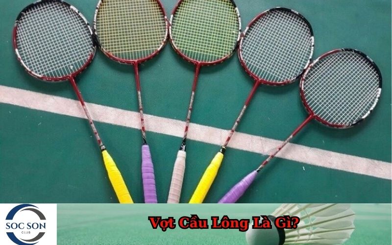 Vợt Cầu Lông Là Gì
