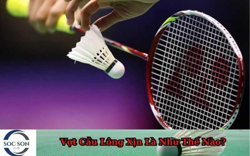 Vợt Cầu Lông Xịn Là Như Thế Nào