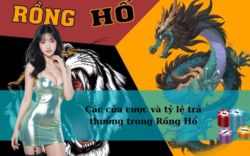 Các cửa cược và tỷ lệ trả thưởng trong Rồng Hổ