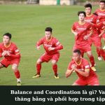 Balance and Coordination là gì? Vai trò của thăng bằng và phối hợp trong tập luyện.