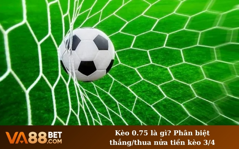 Kèo 0.75 là gì? Phân biệt thắng/thua nửa tiền kèo 3/4