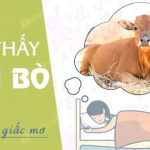 Giải Mã Giấc Mơ Thấy Bò Đánh Số Gì Để Đón Nhận Tài Lộc Dồi Dào