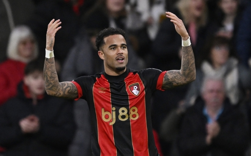 Các cầu thủ chủ chốt và vai trò của họ