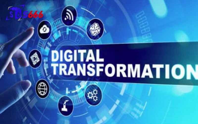 Công nghệ phân tích chỉ số phong độ vận động viên qua dữ liệu thực tế