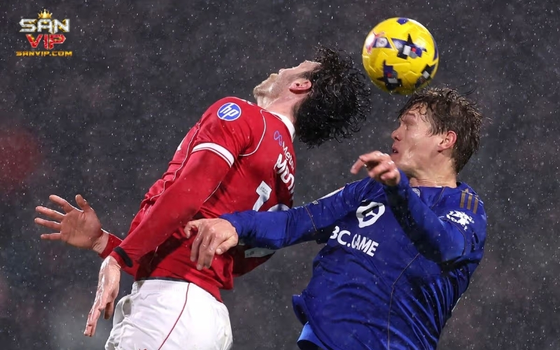 Diễn biến chính