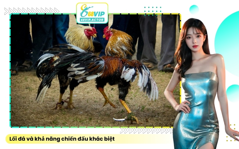 Lối đá và khả năng chiến đấu khác biệt