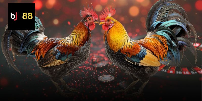 Lịch thăm khám định kỳ cho đàn nuôi