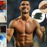 Chế độ dinh dưỡng giúp các cầu thủ duy trì đỉnh cao ở tuổi 40